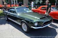 Mustang-Classic (3).jpg